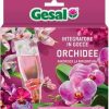 Gesal nutrimento integratore in gocce per orchidee-0