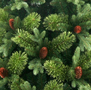 Xone albero di natale Byron 180cm-1375