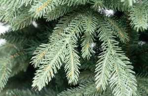 Xone albero di natale Kennedy real touch 210 cm-1326