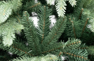 Xone albero di natale Kennedy real touch 210 cm-1329