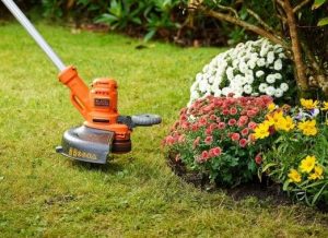 Tagliabordi elettrico a filo Black & Decker Besta 530 c10 con prolunga elettrica da 10 mt in omaggio-2382