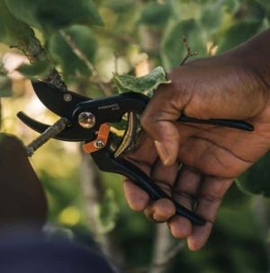 Forbice da giardino per potatura Bypass Fiskars P131-2398