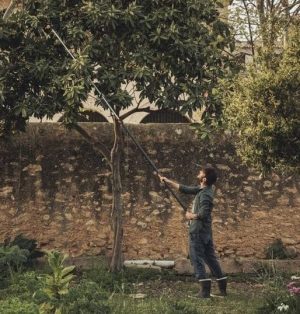 Svettatoio telescopico Fiskars PowerGear UPX86-2412