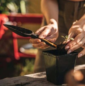 Trapiantatore per semi Solid Fiskars-2406