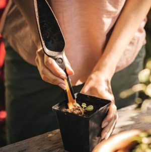 Trapiantatore per semi Solid Fiskars-2407