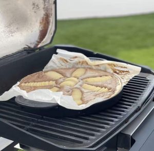 Weber piastra di cottura -1866