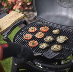 Barbecue a gas Weber Q2200-1884