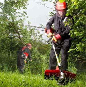 Decespugliatore a scoppio Mistral Phd43 42,7cc Catalizzato-2389