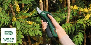 Forbice Potatrice a batteria Bosch Easyprune-3554