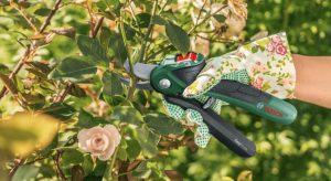 La libertà di tagliare ovunque in giardino Mobilità senza fili, per la libertà di tagliare ovunque in giardino. Indicatore del livello di carica; agevole ricarica con cavo micro-USB.