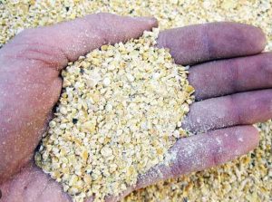 Concime biologico lupini macinati 750gr-3851