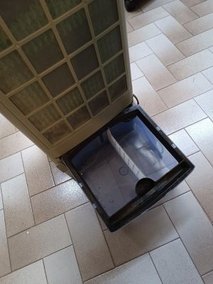 Ventilatore Raffrescatore White Dodi-3860