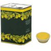 Lattina per olio con tappo 10Lt-0