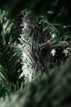 Xone albero di natale Alaska H210cm-4307