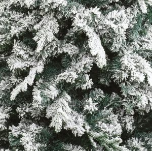 Xone albero di natale Alaska 180cm-4300