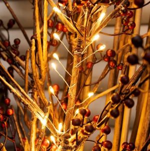 Catena luminosa 60 mini led 120cm luce calda-4267