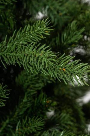 Xone albero di natale Sherwood H210cm-4339