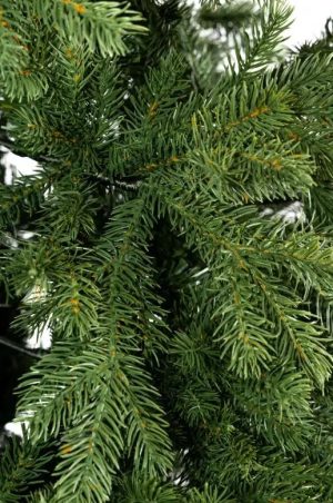 Xone albero di natale Sherwood H210cm-4341