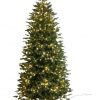 Albero di natale Harold 180cm con 750 led integrati-0